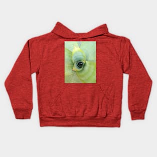 Bomeliad Alcantrea Imperialis Kids Hoodie